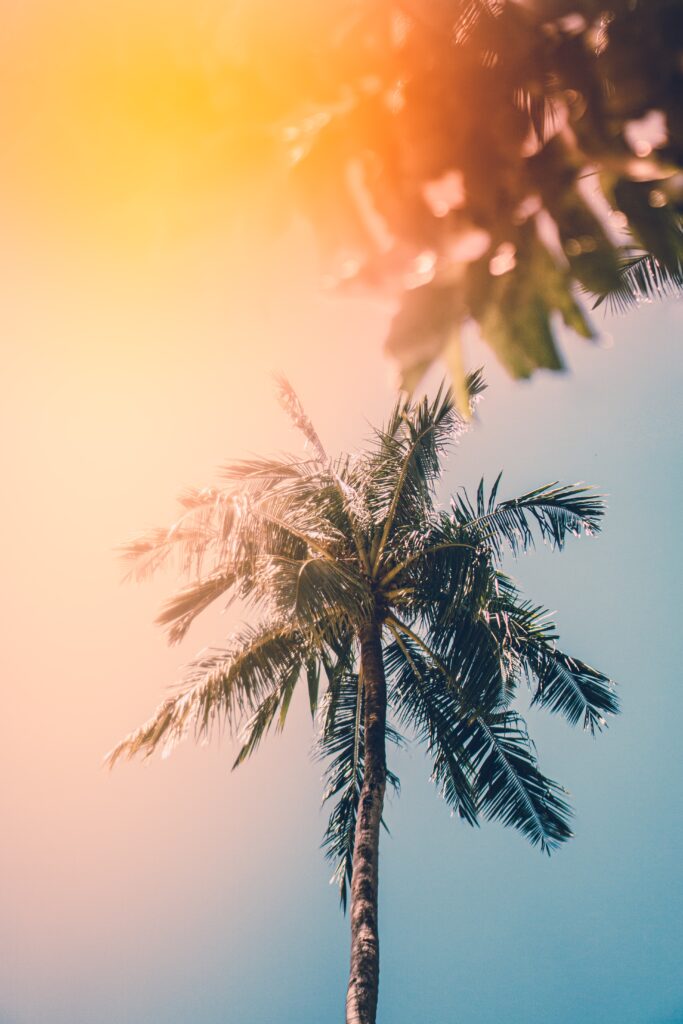 Maui