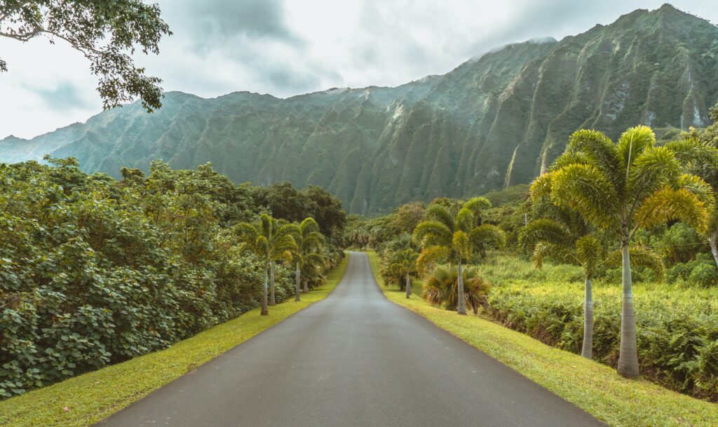 Oahu Attractions Review